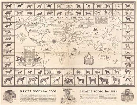 All Dogs In The World Chart