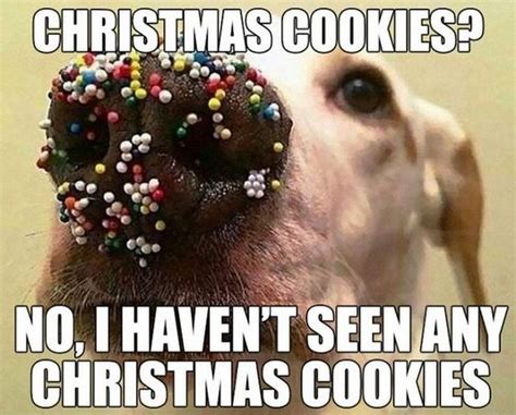 87 Funny Christmas Memes That Put The Merry Back Into Christmas