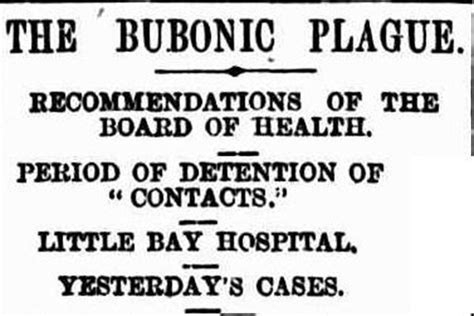 Prince Henry Hospital History 1900 An Outbreak Of Bubonic Plague