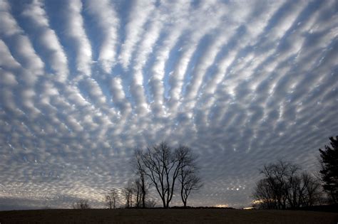 Free photo: Various Cloud Formations - Air, Cirrus, Clouds - Free ...
