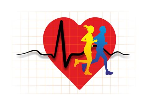 What Is The Best Exercise For Your Heart Guelph Natural Health Blog