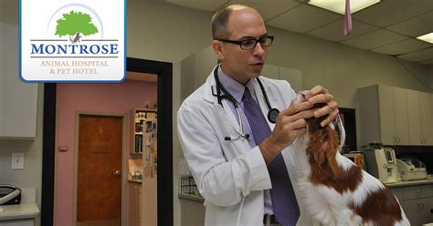 Montrose pet hospital offers montrose, la crescenta, la cañada, and the foothill community medical, surgical, and dental services for your pets. Montrose Animal Hospital and Pet Hotel|Veterinarian in ...