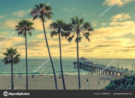 California Beach Sunset Palm Trees Pier Manhattan Beach California Los
