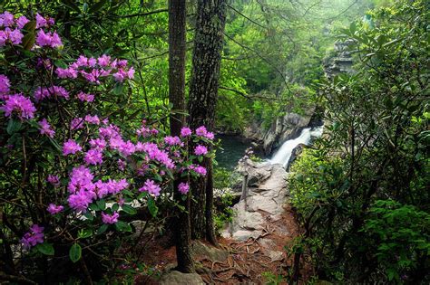 Blue Ridge Mountains Nc Plunging Into Spring Photograph By Robert