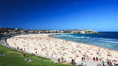 bondi beach cruises and boat tours 2021 top rated activities in australia getyourguide