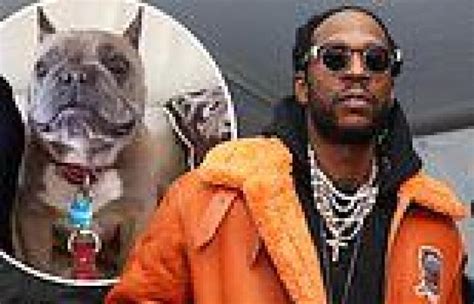 2 Chainz Says His French Bulldog Trappygohard Has Died Feel Like A