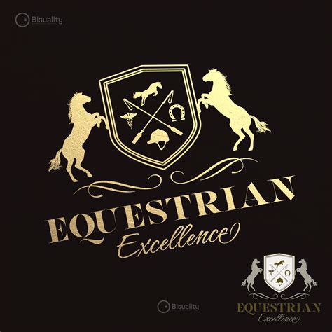 Equestrian Excellence - Sports horses practice and Equine rehabilitation