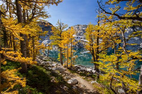 Did You Know? Fall Colors of the Northwest — The Mountaineers