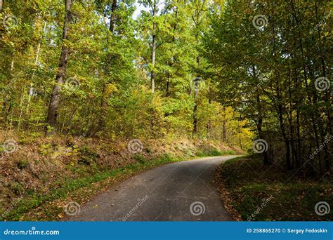 Road In The Autumn Forest Stock Photo Image Of October 258865270