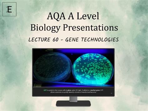 Aqa A Level Biology Lecture Gene Technologies Teaching Resources