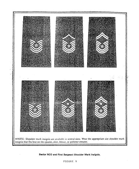 a chronology of the enlisted rank chevron air force security forces center article display