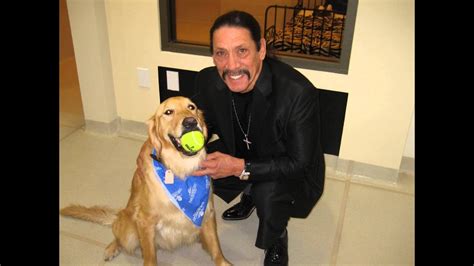 Maybe you would like to learn more about one of these? Actor Danny Trejo Brings His Dog to The Barkley Pet Hotel & Day Spa - YouTube