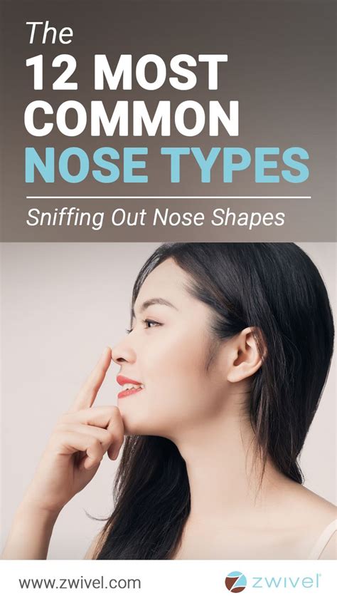 Definitive guide to nose shape, including causes, symptoms and available treatments. Pin on Plastic Surgery Articles