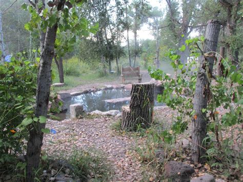 Gila Hot Springs Campground Camping And Hot Springs Up In The