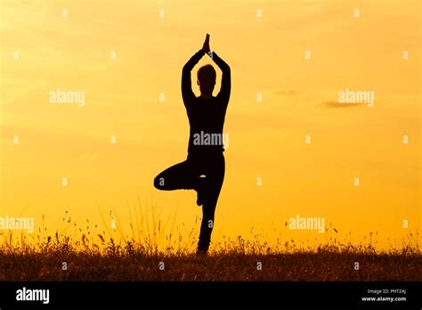 Yoga Tree Posevrikshasana Stock Photo Alamy