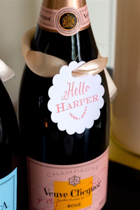 Sip And See Party ~ Hello Harper Shining On Design Sip And See
