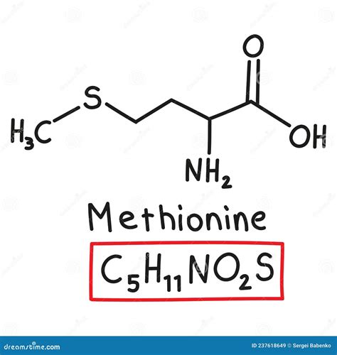 Hand Drawn Chemical Molecular Formula Of Amino Acid Methionine In