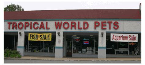 You'll certainly find what you're looking for with the. Fish Pet Shop Near Me - Pet's Gallery