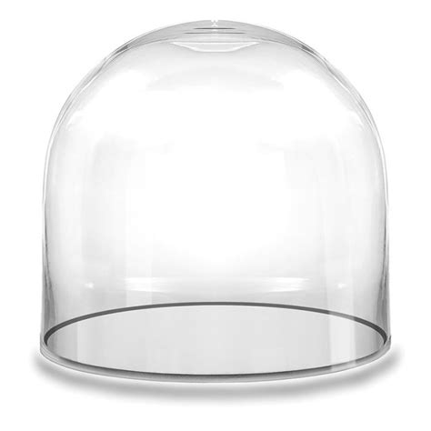 12 X 12 Inch Bell Jar Terrarium Dome Cloche