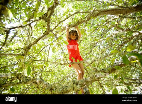 Girl Climbing Tree Stock Photo Alamy