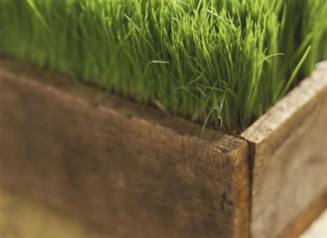 Free woodworking plans for garden planters. Planter Box Plans - Free Woodworking Plans