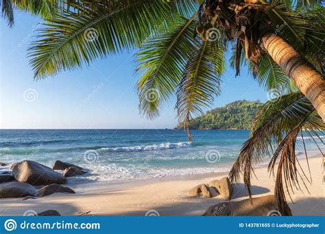 Exotic Tropical Beach With Palms And Blue Sea At Sunset Stock Image