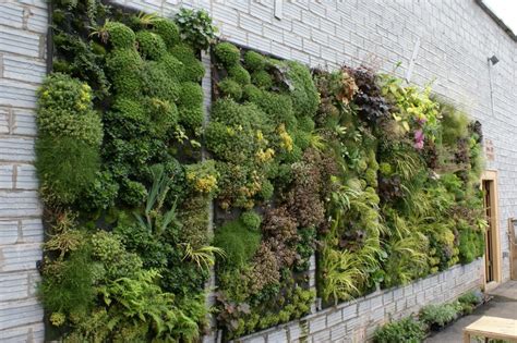Grow A Beautiful Vertical Garden Outsiders Within Outdoor Lifestyle