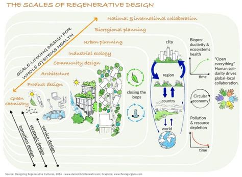 32 Best Ecosystems Systems Thinking Images On Pinterest Agriculture