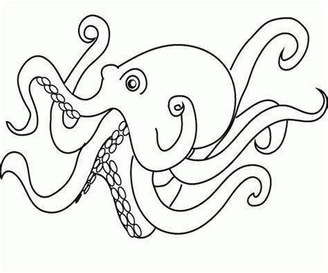 Octopus Coloring Pages For Kids Coloring Home