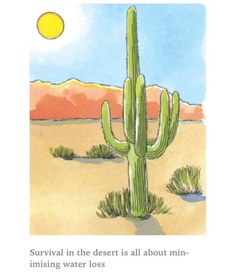 As well as defending against herbivores, spines help. Spines on a cactus reduce water loss. | Water loss, Cactus ...