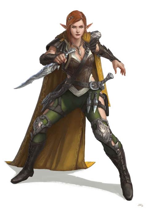 Getting Into Dungeons And Dragons Heres Your Guide To All The Races Film Daily Female Elf
