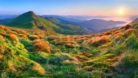 Beautiful Summer Landscape In The Mountains Sunrise