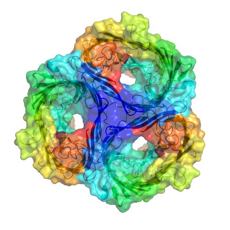 Porin kelimesinin tersten yazılışı nirop diziliminde gösterilir. Porin (protein) - Wikipedia