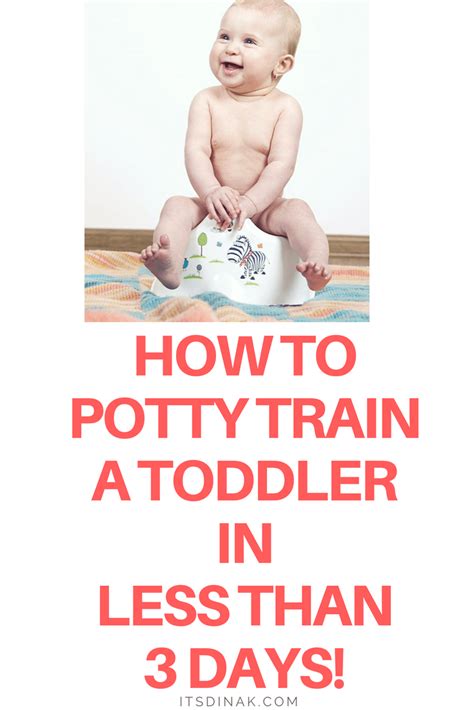 How To Potty Train A Toddler In Less Than 3 Days Itsdinak Potty