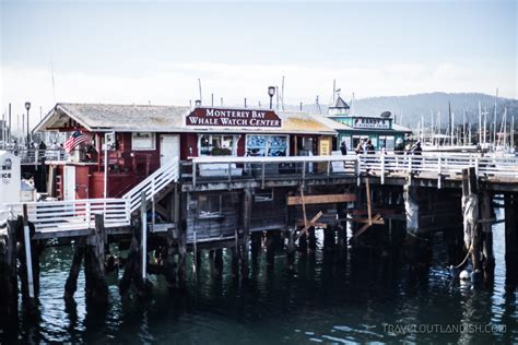 4 Awesome Places for Whale Watching in California - Travel Outlandish