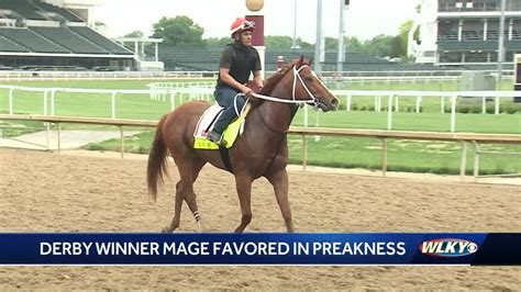 Kentucky Derby Winner Mage Only Derby Horse Running In Preakness Stakes