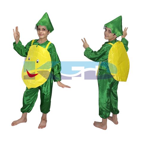 Lemon Fancy Dress For Kidsvegetable Costume For School Annual Function