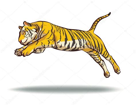 Tiger Action Jumping Vector — Stock Vector © Ziemanz 97666744