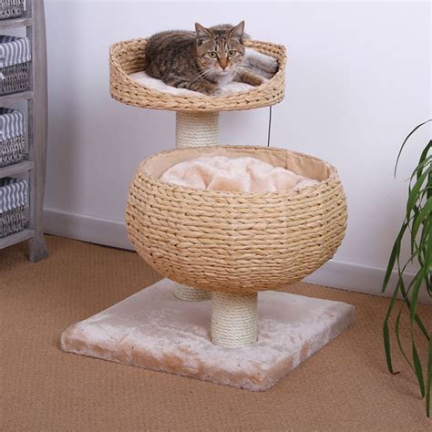 Petpals Eco Friendly Cat Tree Cat Furniture And Towers Petsmart Cat
