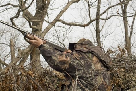The Best Counties To Hunt On Public Land In Ohio Gone Outdoors Your