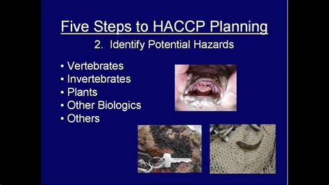 Haccp Planning Feb Youtube