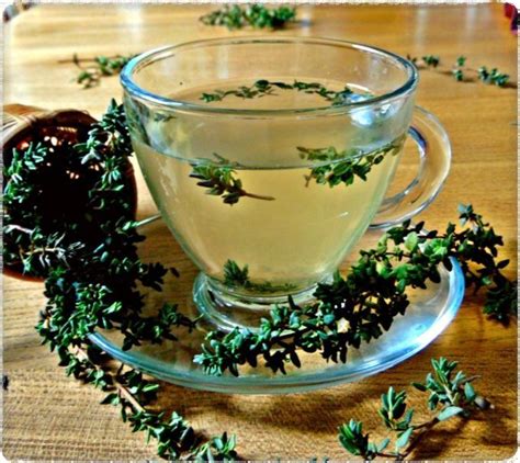 Thyme Tea Thyme Tea Herbalism Healthy Homemade