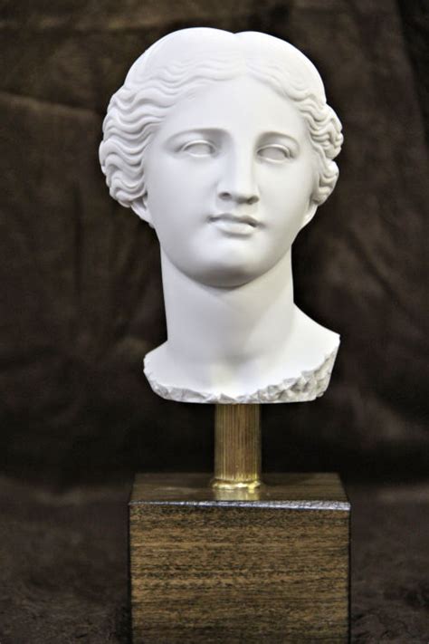 Head Of Aphrodite Venus Bust 10 On Base Statue