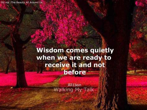 Quotes About Wisdom Love Quotesgram