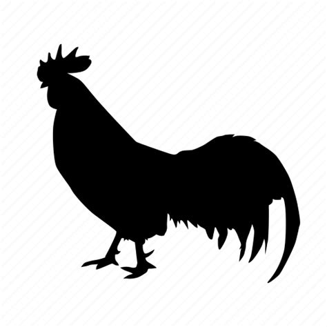 Animal Bird Cock Rooster Icon Download On Iconfinder