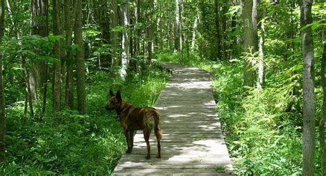 Hidden Gems Along Ontarios Bruce Trail Hike Bike Travel