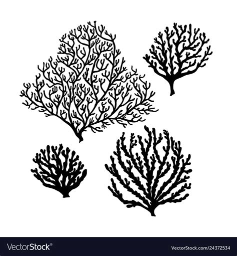 Set Of Sea Reef Corals Black Silhouette Isolated Vector Image