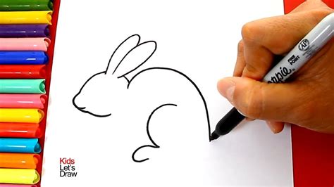 Aprender Cómo Dibujar Un Conejo Real De Manera Correcta Y Fácil