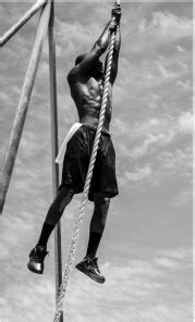 Check spelling or type a new query. Bodyweight training using rings, parallettes, parallel ...