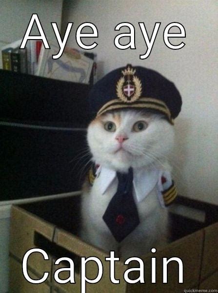 Captain Cat Quickmeme